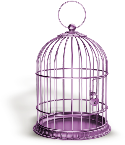Gold Cage (432x500), Png Download
