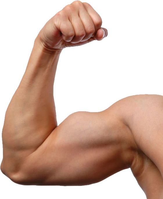 Man Arm (561x685), Png Download