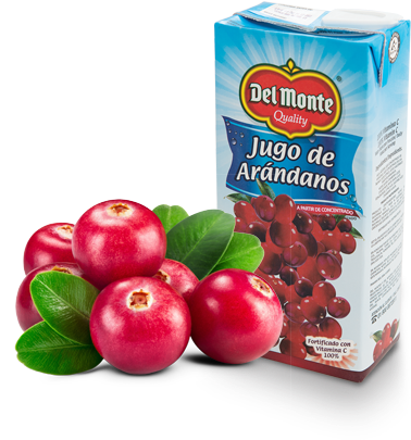 72598e 77f6e8ec7 - Jugo De Arandano Del Monte (805x439), Png Download