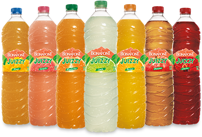 Familia Bonafont Jugo - Agua Bonafont De Sabor (528x300), Png Download
