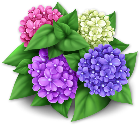 Purple Hydrangeas - November 29 (477x477), Png Download