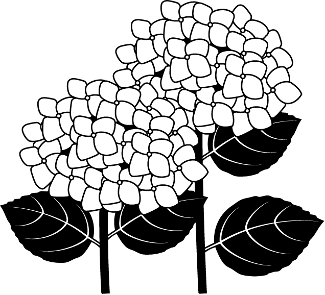 Hydrangea Clip Art - Hydrangea Clipart Black And White (636x578), Png Download