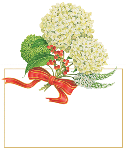 Quick View - Entertaining With Caspari Continuous Roll Of Gift Wrapping (413x500), Png Download