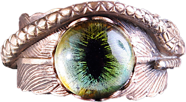 Snake Eye Png - Serpent Eye Png (619x619), Png Download