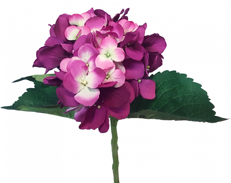 49cm Lge Hydrangea 5 Lvs - Artificial Flower (800x600), Png Download