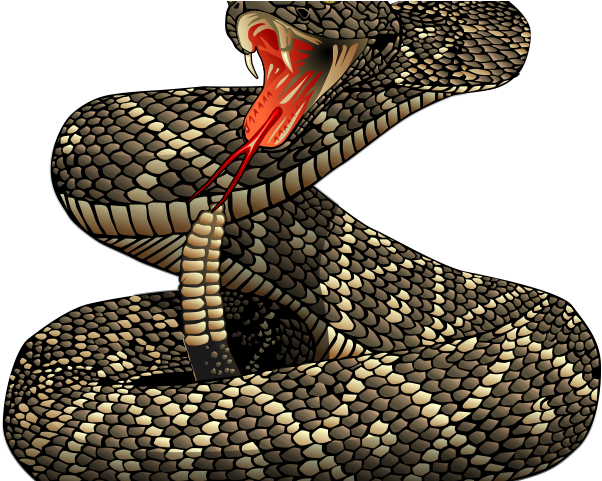 Rattlesnake Free On Dumielauxepices Net - Rattle Snake Clip Art (640x480), Png Download