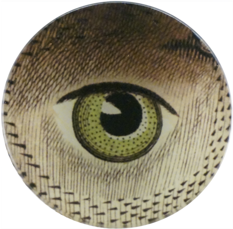 Sea Weather Cock Eye - Circle (500x500), Png Download