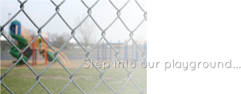 Snake Eyes - Australia Zoo (890x360), Png Download