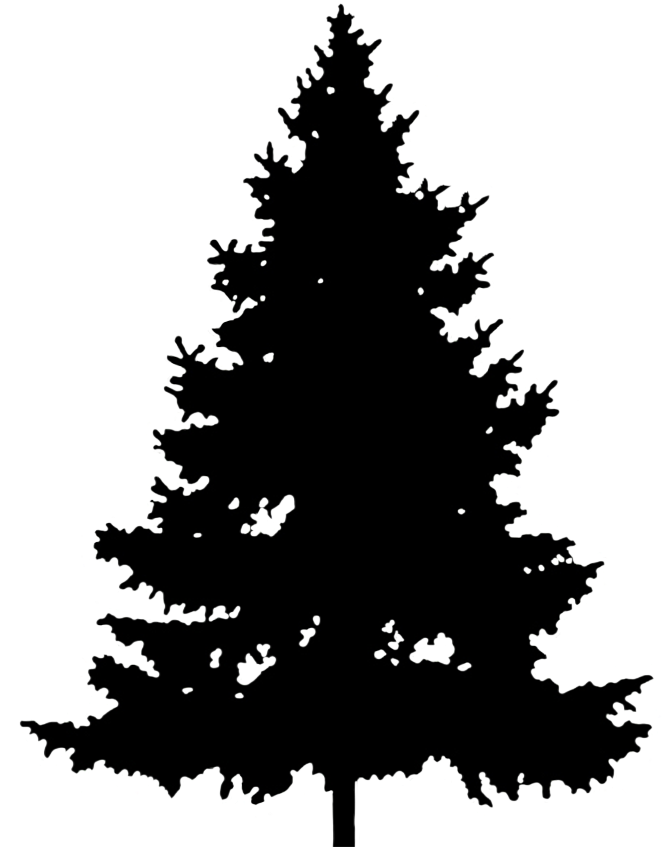Christmas Group Graphics - Pine Tree Clipart (683x886), Png Download