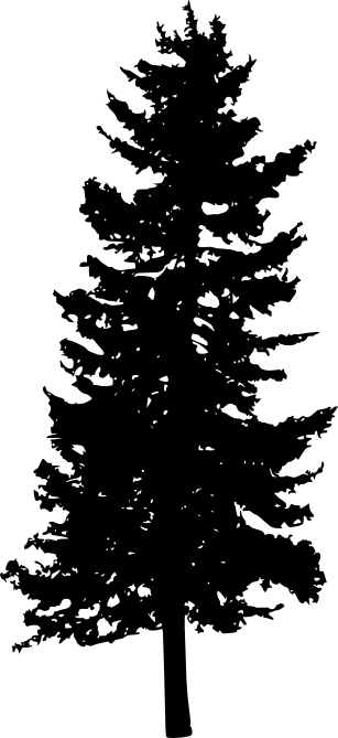 30 Pine Tree Silhouette Png Transparent Vol 2 Onlygfxcom - Portable Network Graphics (307x669), Png Download