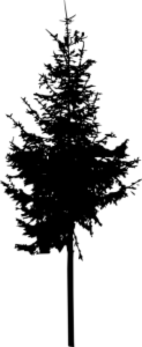 Free Png Pine Tree Silhouette Png Images Transparent - Portable Network Graphics (480x1171), Png Download