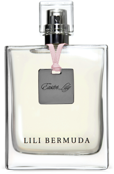 Easter Lily Eau De Parfum - Oleander Perfume (386x600), Png Download