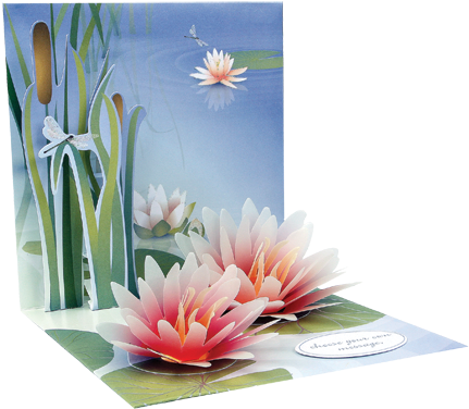 This Is A Test For Text Test For Text - 3d Greeting Card - Water Lily - All Occasion (450x420), Png Download