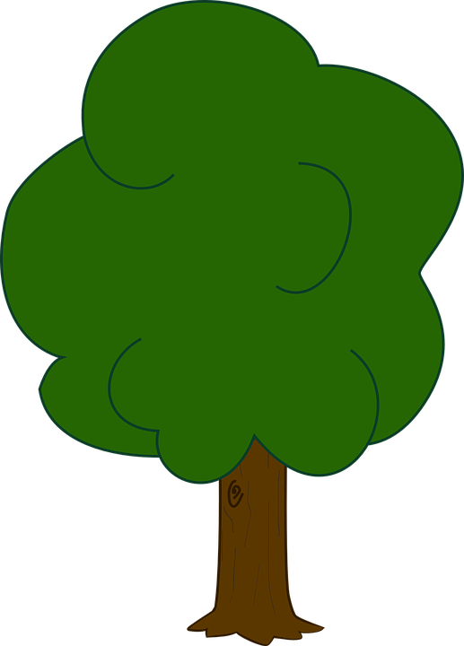 Desenho Arvore Png - Broccoli Outline Simple (517x720), Png Download