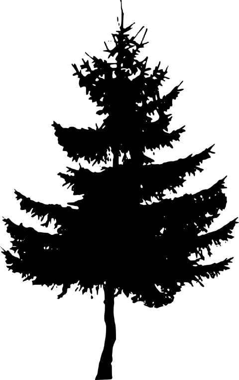 Pine Tree Silhouette Png (480x762), Png Download