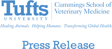 Archived Press Releases - Tufts Cummings School Logo (510x300), Png Download