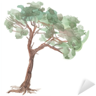 Pine Tree On A White Background - Дерево Клипарт Акварель (400x400), Png Download