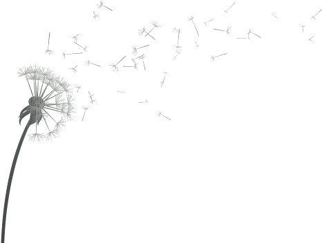 Vector Free Amazing Wish Awesome Liver Detox Tea - Wallpaper (500x400), Png Download