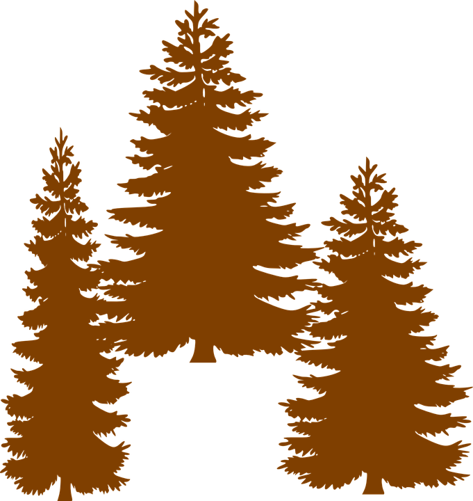 Pine Tree Grouping By Atom Clip Art At Clker - Pine Tree Silhouette Free (681x720), Png Download