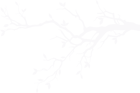 Arvore 02 Jul 2013 - Chickadee And The Cat (585x390), Png Download