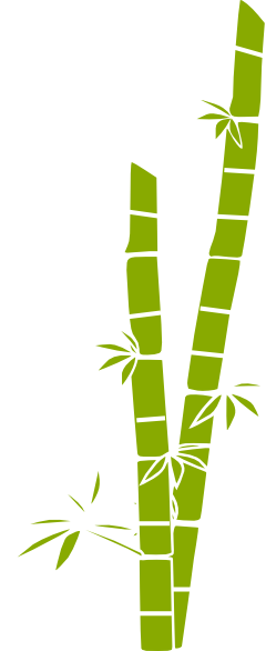 Bamboo Transparent (240x586), Png Download