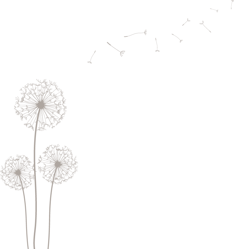 Dandelion Transparent Tumblr Jpg Free - Dandelion (788x841), Png Download