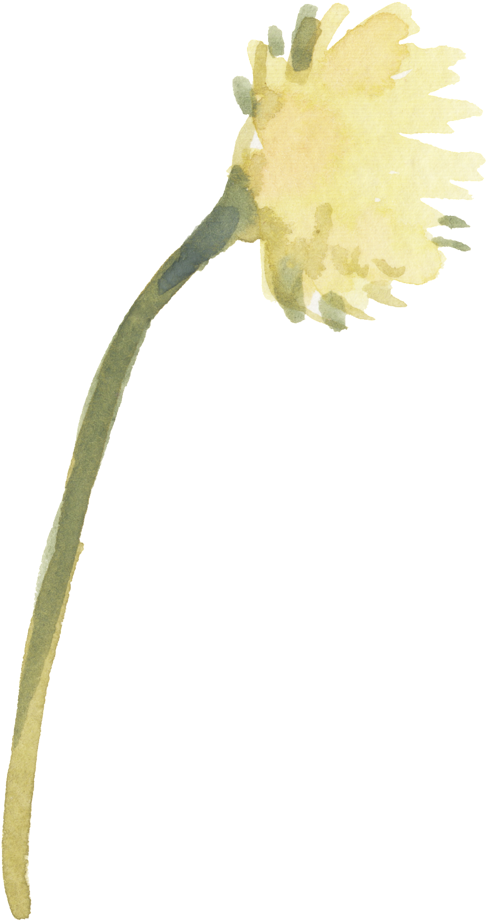 Yellow (1024x1939), Png Download