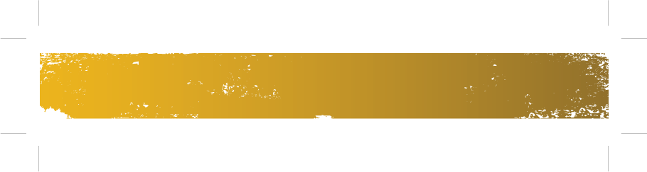 Atlanta Budokan Brazilian Jiu-jitsu - Yellow Banner Png (910x243), Png Download