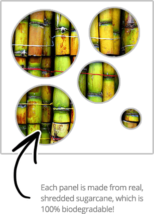 Cta-sugarcane - Y Soplará El Amijan (307x425), Png Download