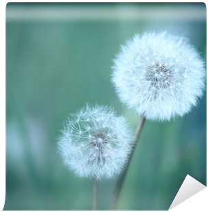 Sticker (400x400), Png Download