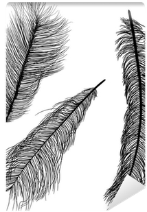 Three Ostrich Feather Silhouettes Isolated On White - Illustration (400x400), Png Download