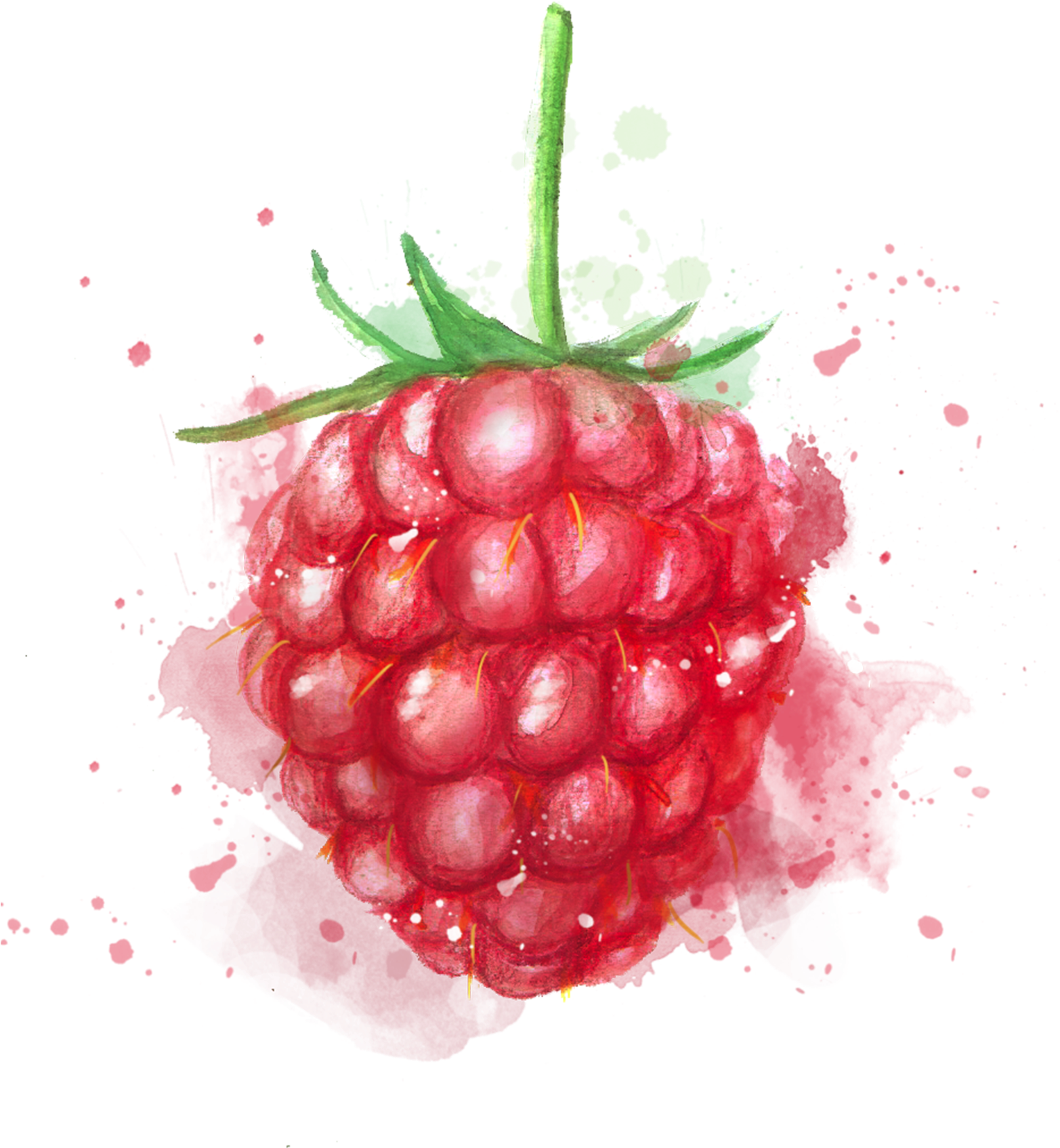 Centinella - Strawberry (2000x2828), Png Download