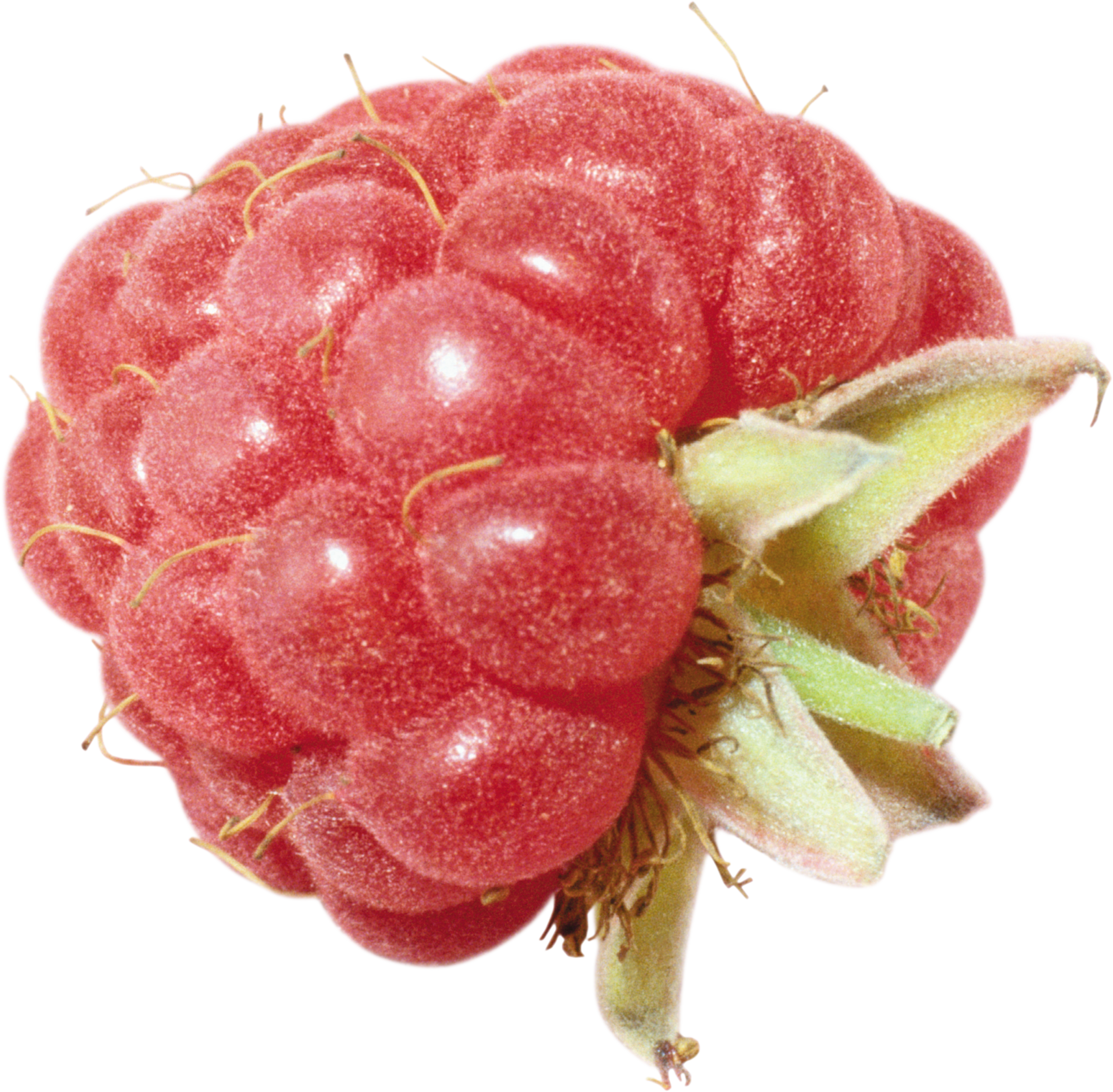 Download - Red Raspberry (3210x3148), Png Download