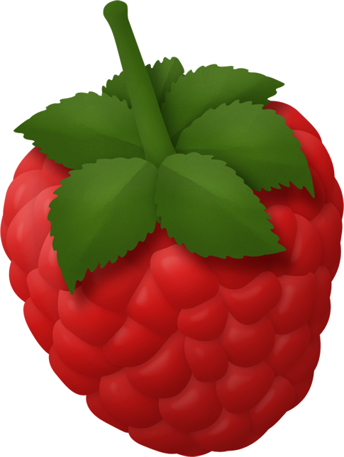 Dg Raspberry - Berry Clipart (485x645), Png Download