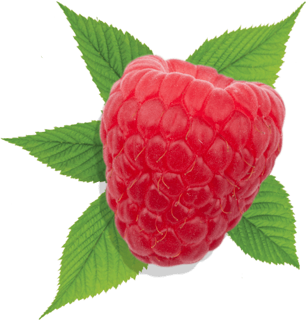 Raspberry Raspberry - Raspberry (541x471), Png Download