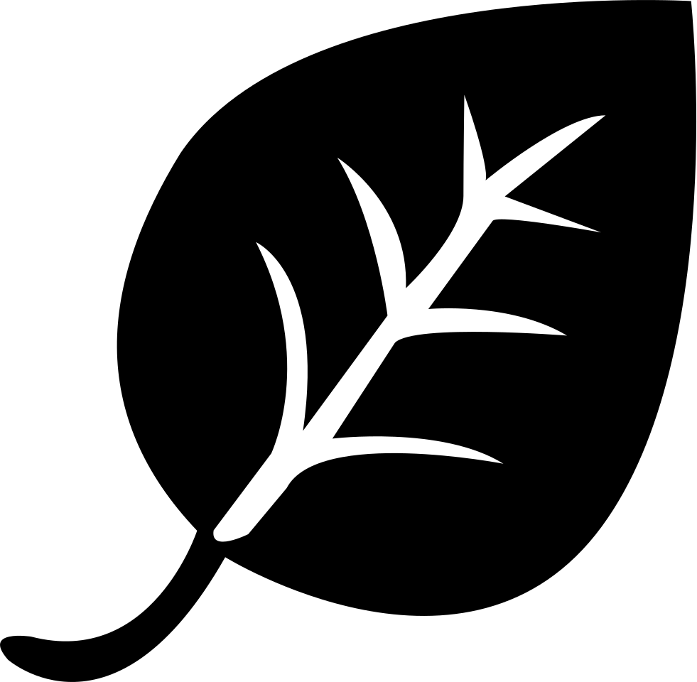 Листья чая вектор. Листок дерева символ. Значок листик. Символ листьев. Лист символ.