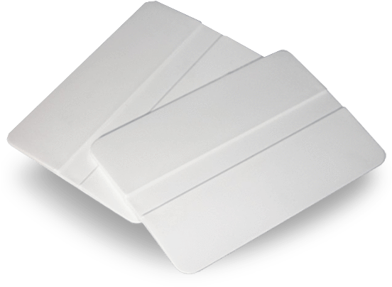 Bee (576x576), Png Download