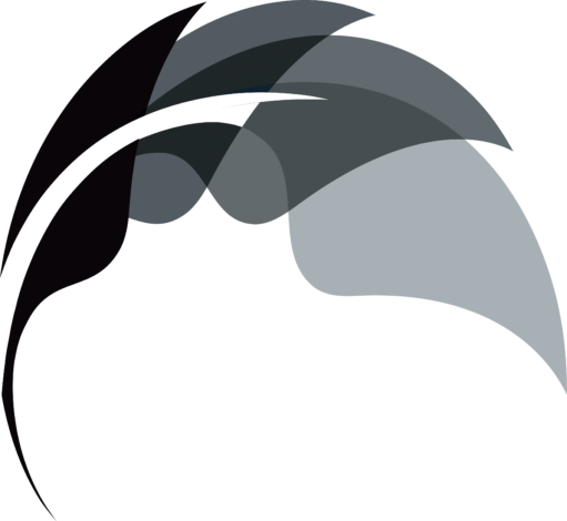 Black Leaf Solutions - Crescent (511x470), Png Download