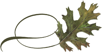 Spring Flowers, Autumn Leaves, Grapes Twisty Black - Flatweed (519x346), Png Download