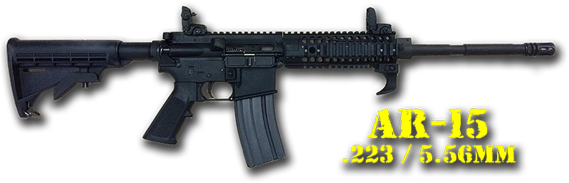 Ar-15 Rental - Ar-15 Style Rifle (800x267), Png Download