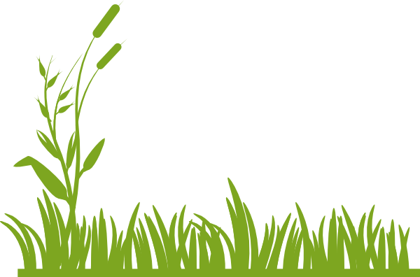 Clip Art At Clker Com Vector Online - Green Grass Clipart (600x396), Png Download