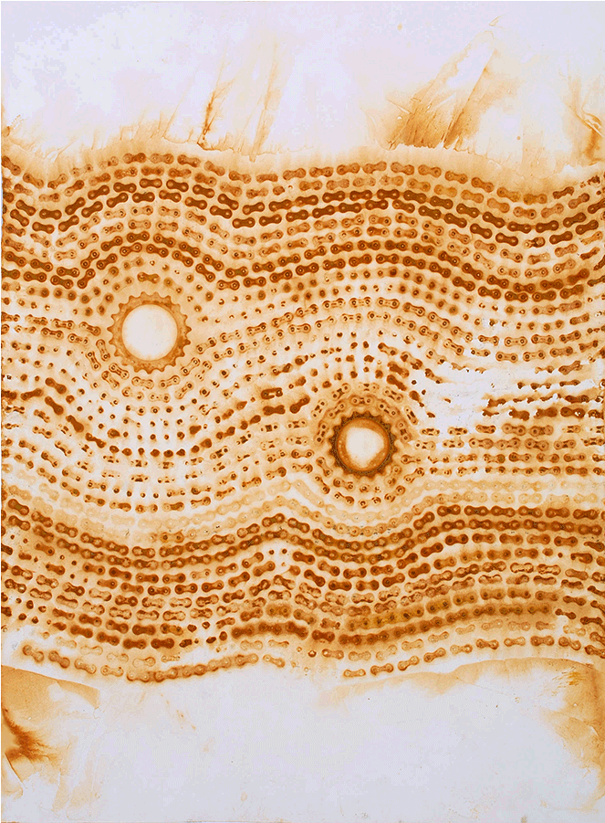 A Few Years Of Experimentation Lead Me To The Development - Bicycle (900x900), Png Download