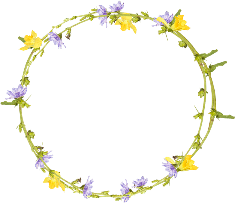 0 9ae96 F62a0378 Orig Round Picture Frames, Circle - Clip Art (800x706), Png Download