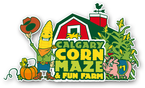 Calgary Corn Maze Pumpkins (498x304), Png Download