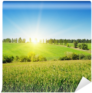 Maize (400x400), Png Download