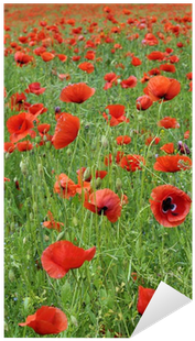 Poppy (400x400), Png Download