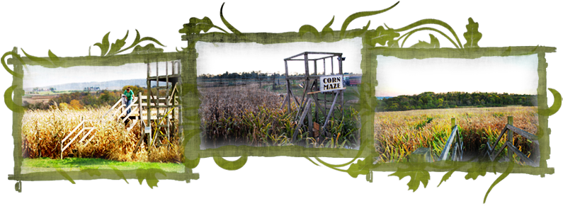 In 2000, We Created The "get Lost Corn Maze" - Freshwater Marsh (900x290), Png Download