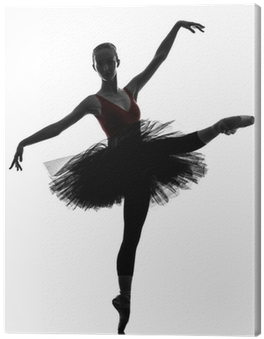 Young Woman Ballerina Ballet Dancer Dancing Canvas - Ballet (400x400), Png Download