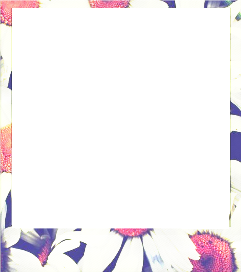 Borde Marco Tumblr Png Photo Polaroid Palommzz {3}freet - Polaroid Png 3 (837x954), Png Download