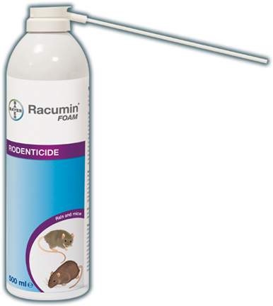 Racuminform Img - Racumin Foam 500 Ml (424x457), Png Download